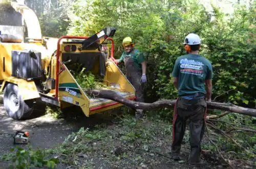 tree services Fruita